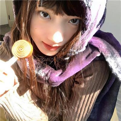 萌犬流浪记